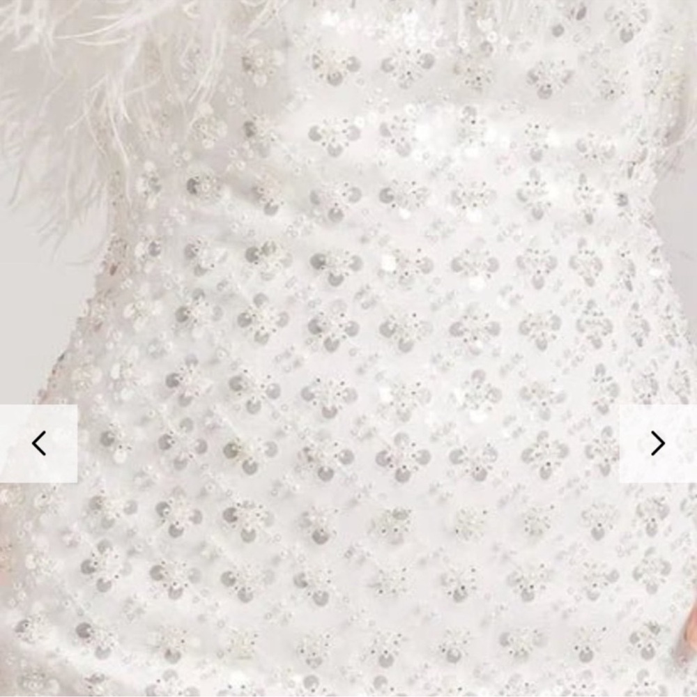 Nadine Merabi Harlow Dress- Sold out online! - Picture 4 of 9